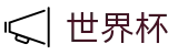 FIFA 2026世界杯（中国）线上官方指定买球平台 · 品牌中文综合资讯